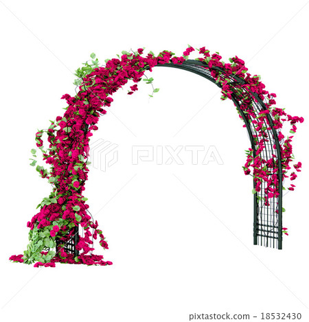 Arched pergola of black glossy metal 18532430