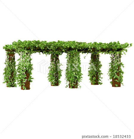 Worn out pergola with pink flowers 18532433