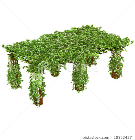 Huge pergola for outdoor purposes 18532437