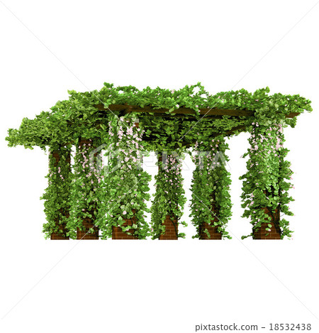 Outdoor arbor with ivy pergola 18532438