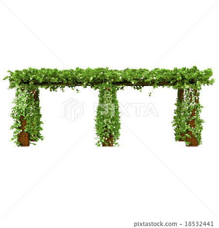 Large pergola for the garden 18532441