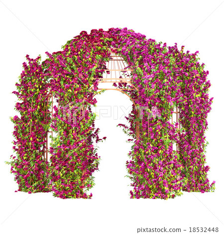 Curly flowering plant pergola 18532448