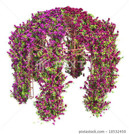 Flowers curl on a metal gazebo pergola Flowers curl on a metal gazebo pergola 18532450
