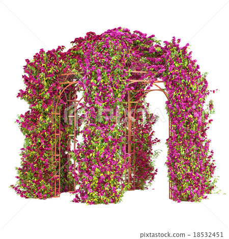 Flowers in the curly gazebo pergola 18532451