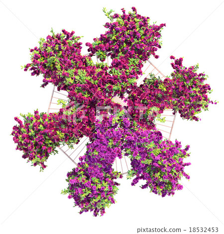 Large bush flowers pergola 18532453