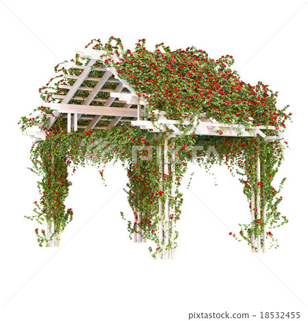Pergola with red roses pergola 18532455