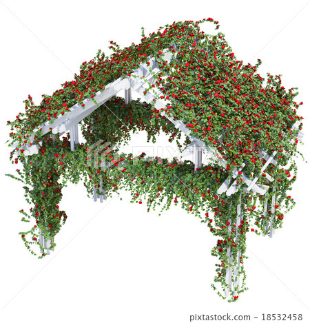 White pergola with roses 18532458