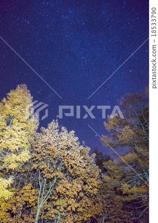[Nikko/Senjogahara] A starry sky in autumn 18533790