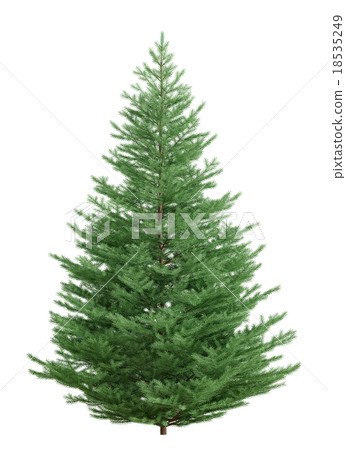 Fir tree isolated over white 3d rendering Fir tree isolated over white 3d rendering 18535249
