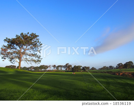 Torrey Pines Golf Course 18536119