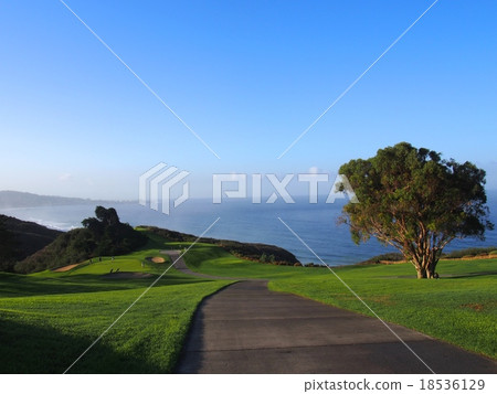 Torrey Pines Golf Course Torrey Pines Golf Course 18536129