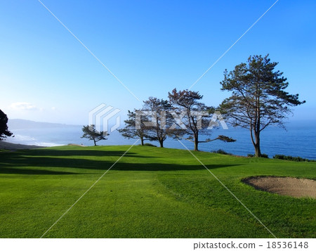 Torrey Pines高爾夫球場 18536148