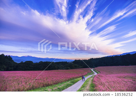 日落的人行道 18536252