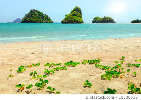 tropical beach in Krabi province tropical beach in Krabi province 18536518