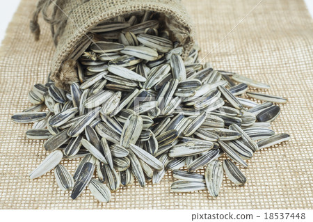 Sunflower seeds in sacks. Sunflower seeds in sacks. 18537448