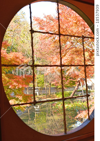 Autumn leaves of a round window 18537939