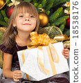 Pretty girl with present near the Cristmas tree 18538176