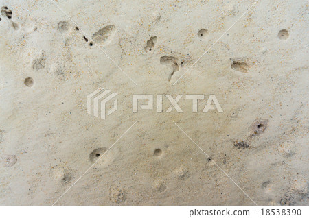 sand backgrounds and texture  18538390