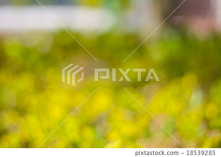 Abstract green natural bokeh background Abstract green natural bokeh background 18539285