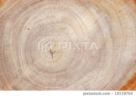 slice of wood background. 18539764