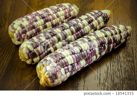 Purple organic corn on cob on wooden background 18541355