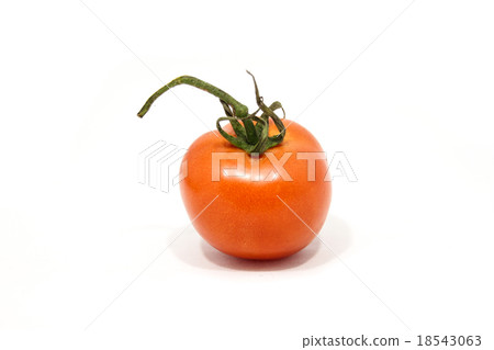 Tomato 18543063