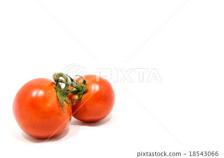 Tomato 18543066