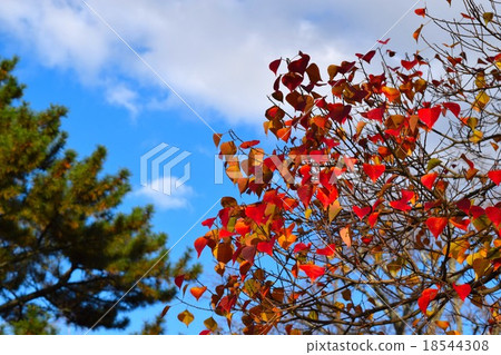 秋天的形象 18544308