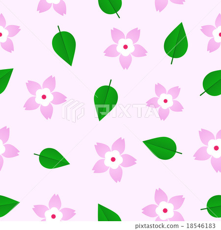 Sakura Pattern Sakura Pattern 18546183