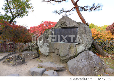 Autumn leaves of old-school garden Autumn leaves of old-school garden 18547080