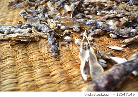 Quail beans on rice 18547149