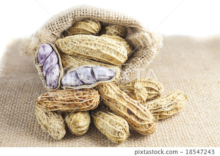 Peanut in a sack Peanut in a sack 18547243
