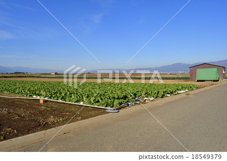 從愛情維生素路到松本市方向的鹽尻景觀 18549379