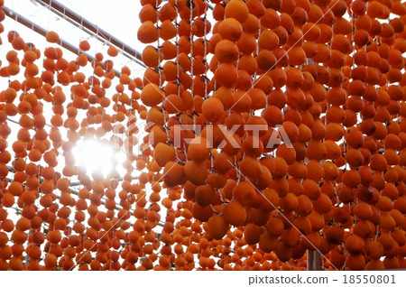 Roll persimmon 18550801