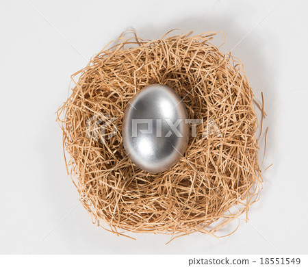 One silver egg in a nest. One silver egg in a nest. 18551549