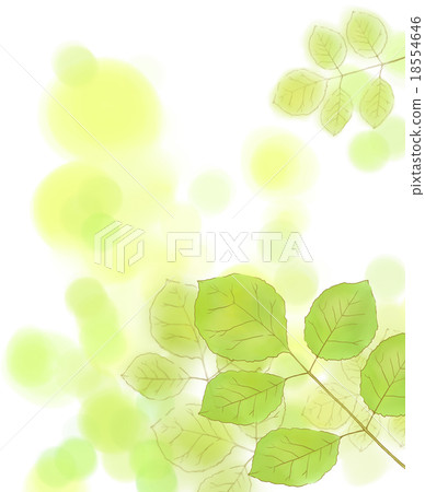 葉子背景圖像 葉子背景圖像 18554646