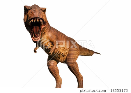 tyrannosaurus 18555173