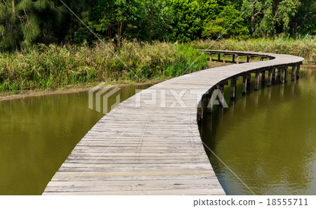 Footpath in countryside 18555711