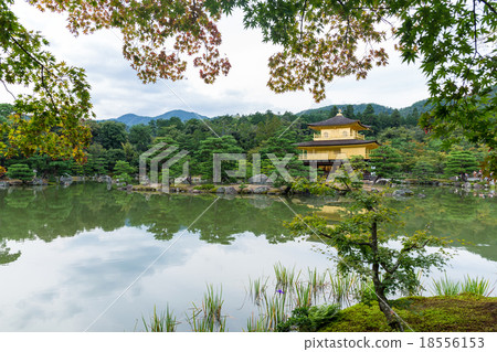 Kinkakuji the Golden temple 18556153