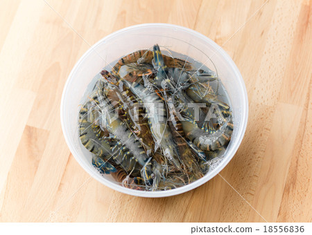 Fresh prawn in plastic container Fresh prawn in plastic container 18556836