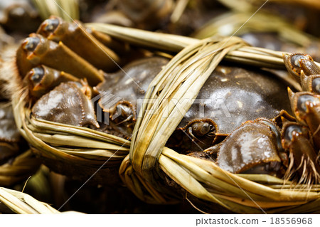 Yangcheng lake crabs Yangcheng lake crabs 18556968