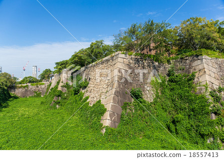 Green creeper over the castle wall in osaka 18557413