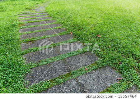 Stone way in green grass 18557464