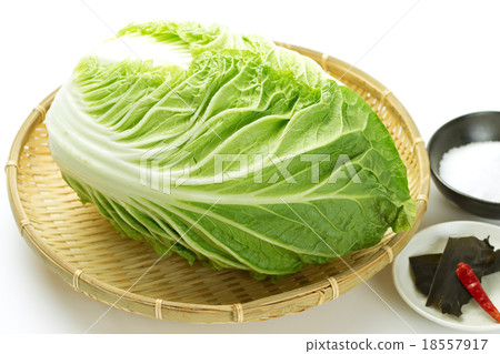 Preparation of pickled Chinese cabbage 1 Preparation of pickled Chinese cabbage 1 18557917