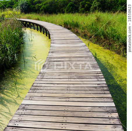 Wooden walkway in park 18558623