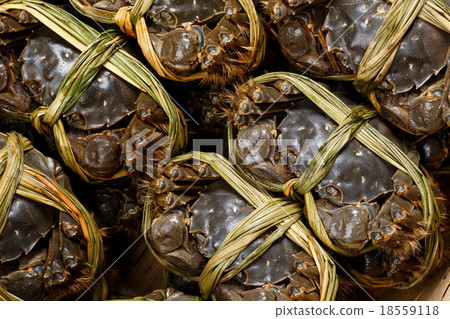 Freshness hairy crabs 18559118