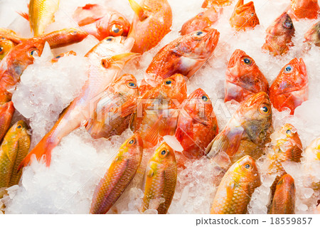 Fresh fish in wet market Fresh fish in wet market 18559857