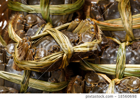 Uncooked hairy crabs 18560698