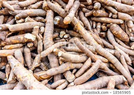 Cassava Cassava 18565905