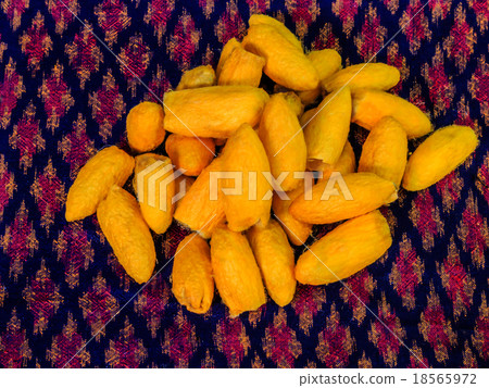 Close up silkworm cocoon on messaline. 18565972